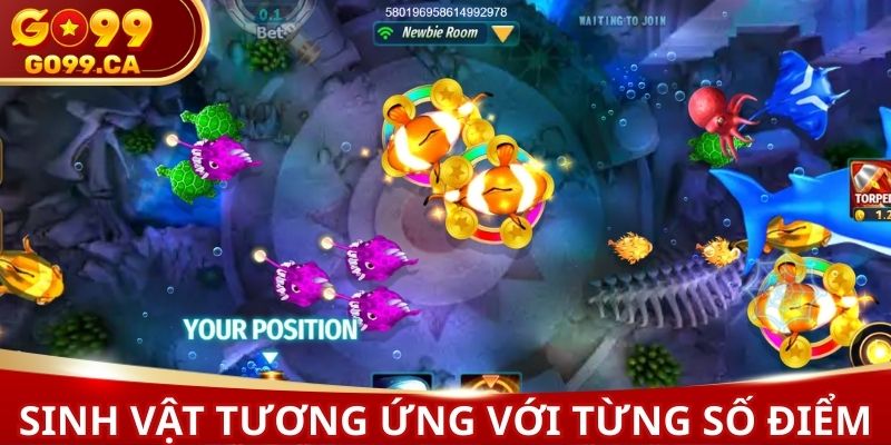 Mỗi loài sinh vật tương ứng với số điểm khác nhau